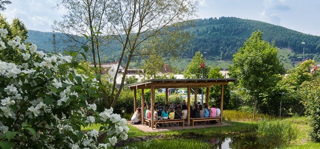 Schulgarten Schulgarten